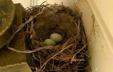 happy mother’s day