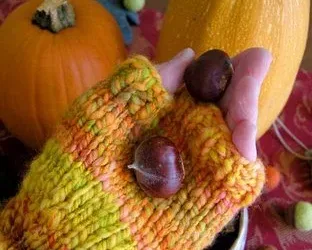 feeling fall and kind of nutty