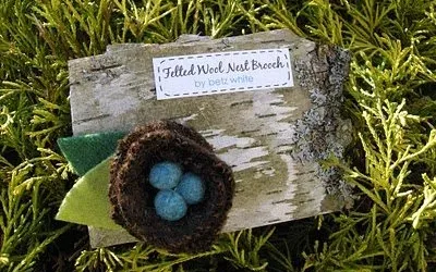 nest is best