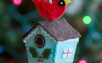 2016 Holiday Stitch-along Ornament Club #1: Birdhouse